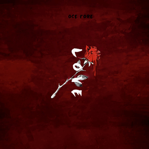 男女做爱狂抽猛插什么滋味
