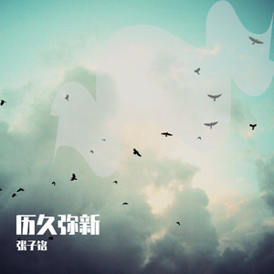 男女做爱狂抽猛插什么滋味
