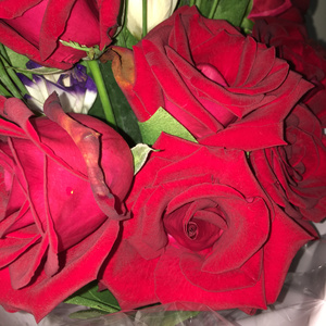 男女做爱狂抽猛插什么滋味
